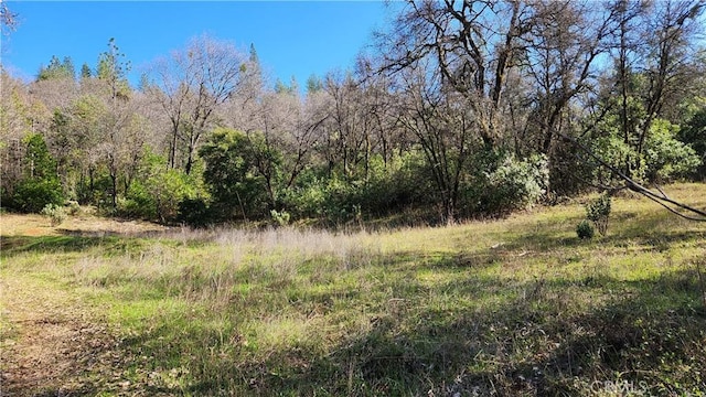14550 Merriam Rd, Dobbins, CA 95935 - photo 25