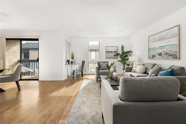 living room with light wood-type flooring