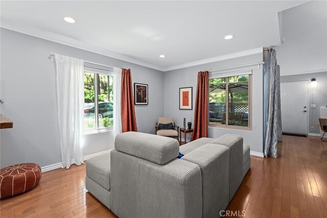 living room featuring crown molding and light hardwood / wood-style floors