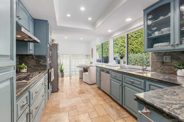 kitchen with appliances with stainless steel finishes, backsplash, a raised ceiling, ornamental molding, and sink