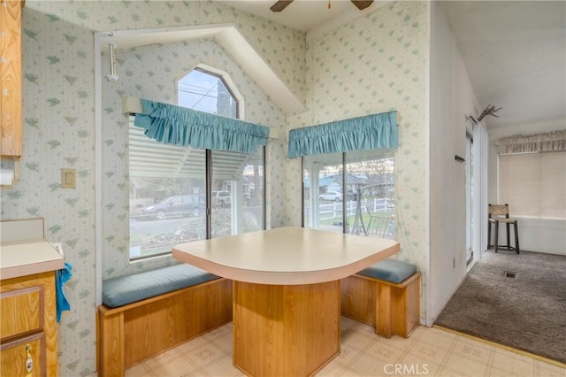 interior space featuring ceiling fan, plenty of natural light, and light carpet