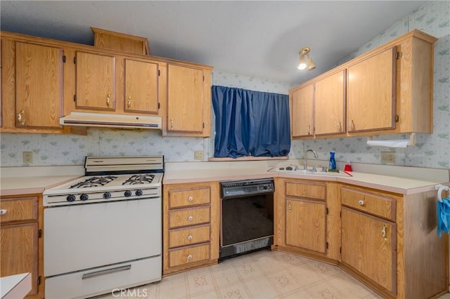 kitchen with gas range gas stove, black dishwasher, and sink