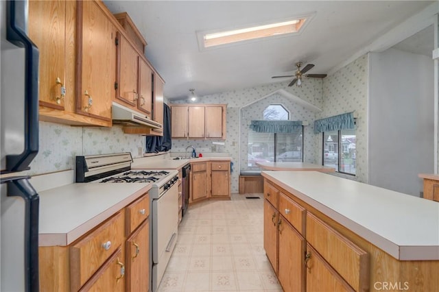 kitchen with ceiling fan, dishwasher, sink, and white gas stove