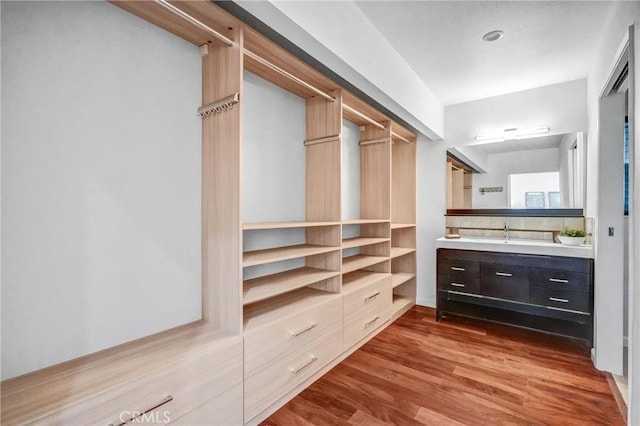 spacious closet featuring sink and hardwood / wood-style floors