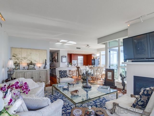 living room featuring hardwood / wood-style floors and rail lighting