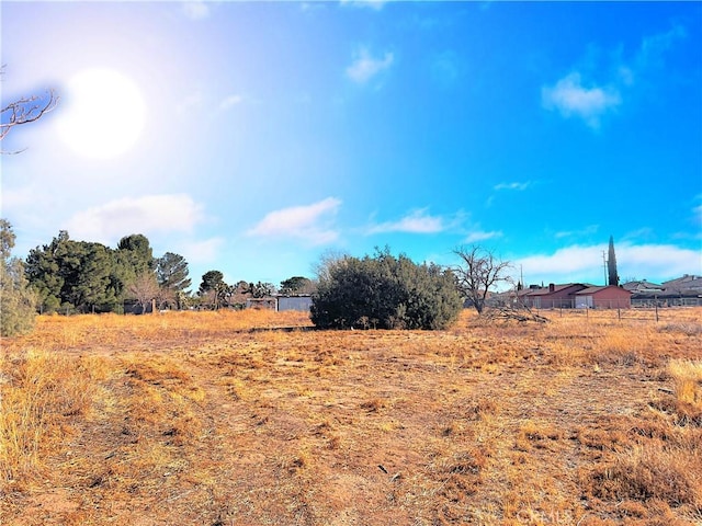 view of yard with a rural view