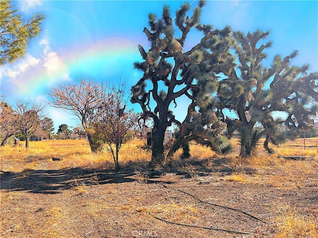 view of local wilderness featuring a rural view