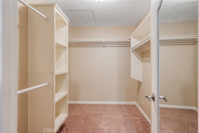 spacious closet featuring light colored carpet