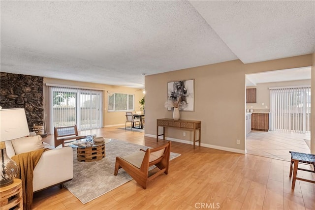 living room with a textured ceiling and light hardwood / wood-style flooring