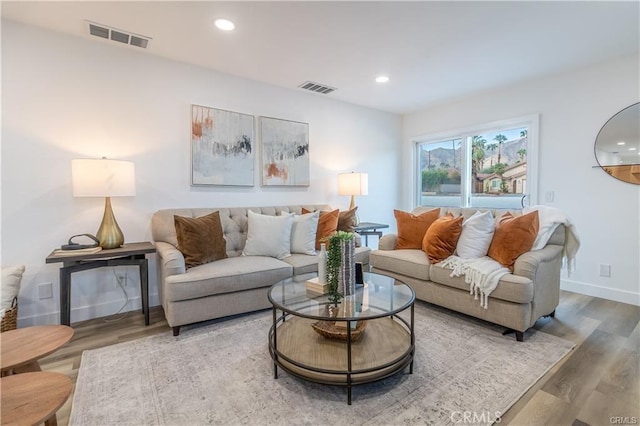 living room featuring hardwood / wood-style floors