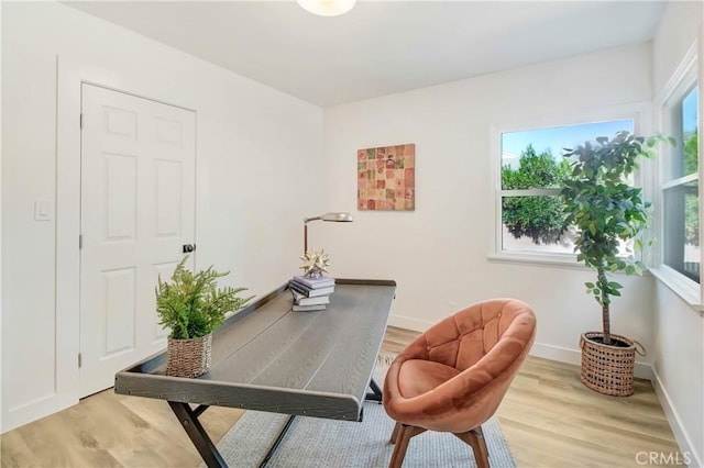 office featuring light hardwood / wood-style flooring