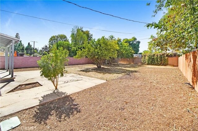 view of yard with a patio