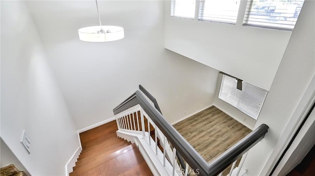 stairs with hardwood / wood-style flooring