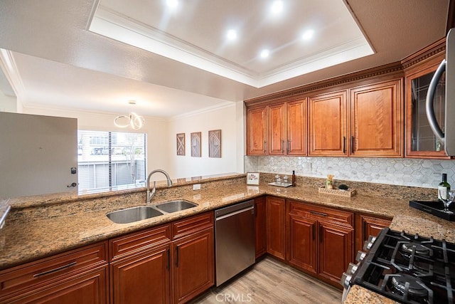 kitchen featuring appliances with stainless steel finishes, sink, light stone counters, a tray ceiling, and light hardwood / wood-style flooring