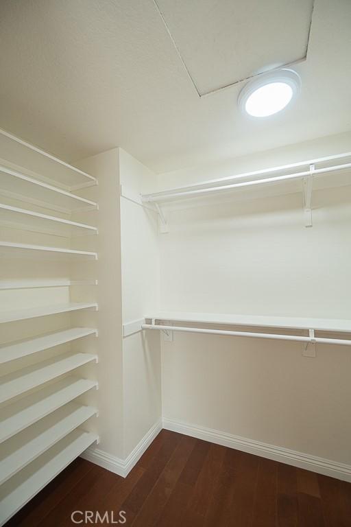 spacious closet featuring dark hardwood / wood-style floors