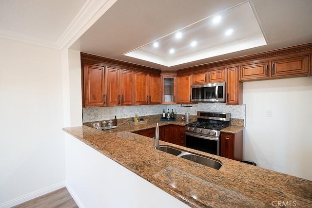 kitchen with dark stone counters, a tray ceiling, and stainless steel appliances