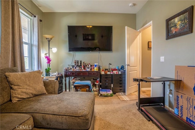 living room with carpet