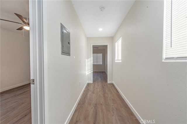 hallway with electric panel and light hardwood / wood-style flooring