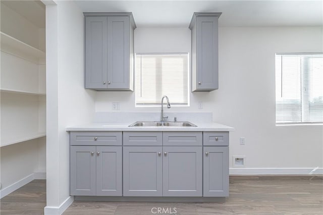 kitchen with gray cabinets, hardwood / wood-style floors, and sink