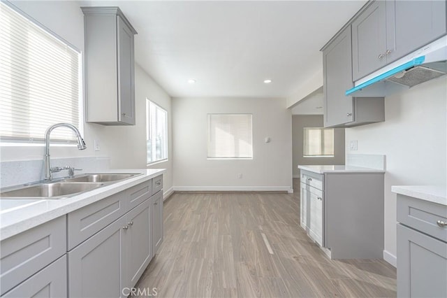 kitchen with gray cabinetry, light hardwood / wood-style floors, and sink