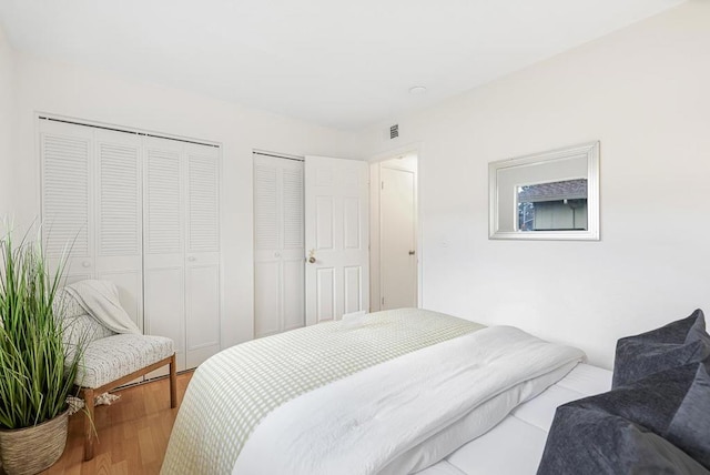 bedroom with wood-type flooring and two closets