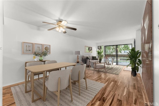 dining space with light hardwood / wood-style floors, floor to ceiling windows, and ceiling fan