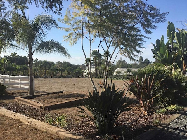 view of yard featuring a rural view