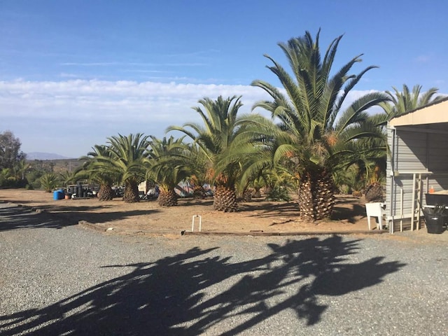 view of yard featuring a mountain view