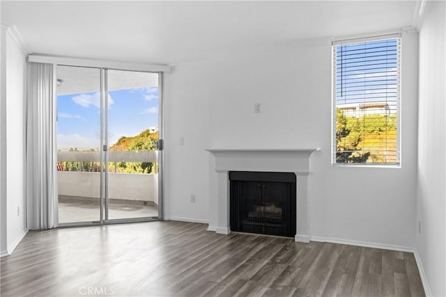 unfurnished living room featuring floor to ceiling windows and dark hardwood / wood-style floors