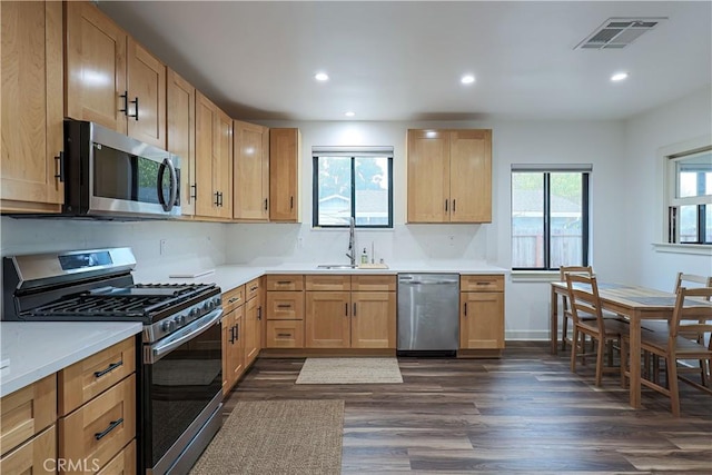 kitchen featuring dark wood-type flooring, appliances with stainless steel finishes, light brown cabinets, and sink