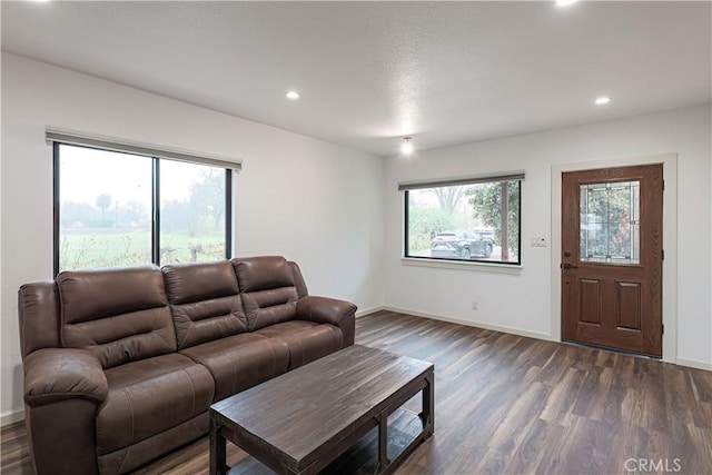 living room featuring dark hardwood / wood-style floors