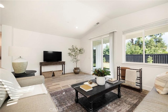 living room with wood-type flooring and lofted ceiling