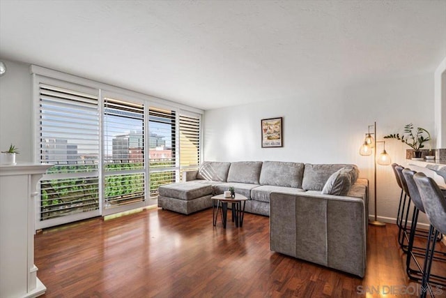 living room featuring dark hardwood / wood-style flooring