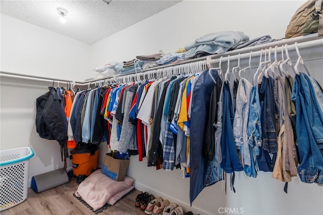 spacious closet with hardwood / wood-style flooring