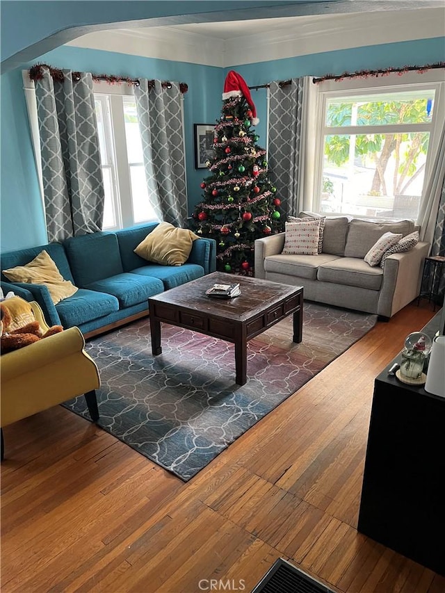 living room with hardwood / wood-style flooring and a healthy amount of sunlight