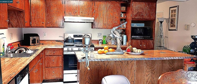 kitchen with stainless steel range with gas cooktop, sink, dishwasher, and butcher block counters