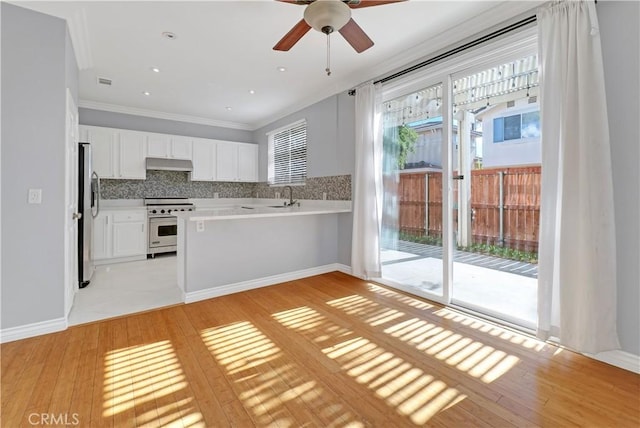 kitchen with white cabinetry, decorative backsplash, stainless steel appliances, and light hardwood / wood-style floors