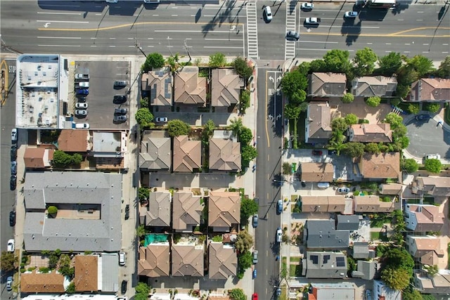 bird's eye view