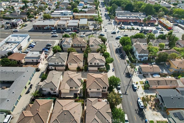 bird's eye view