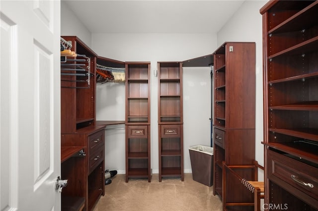 walk in closet with light colored carpet