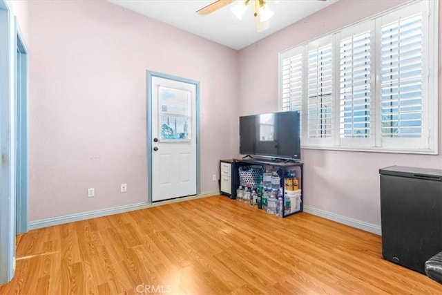 interior space featuring ceiling fan, light wood-type flooring, and a wealth of natural light