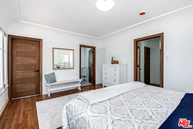 bedroom with dark wood-type flooring and connected bathroom