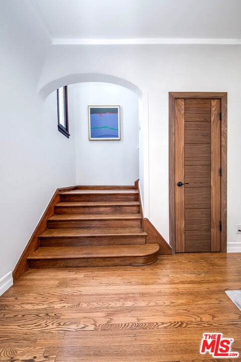 stairs featuring hardwood / wood-style floors