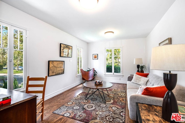 living room with dark wood-type flooring