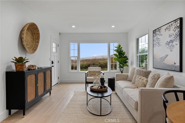 living room featuring light wood-type flooring