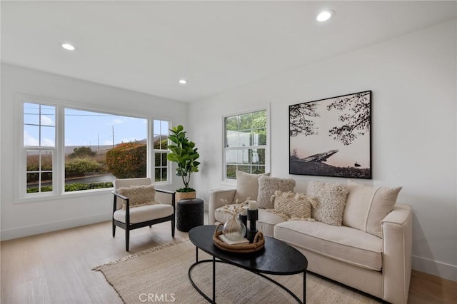 living room with light hardwood / wood-style flooring