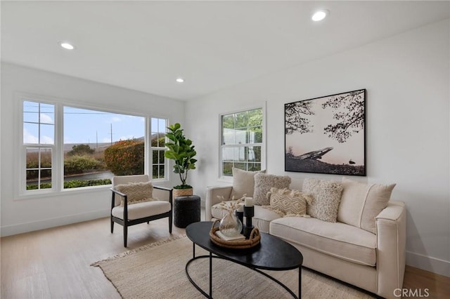 living room featuring light wood-type flooring