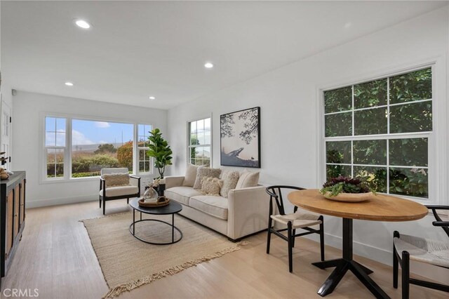 living room with light wood-type flooring