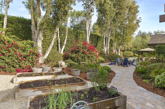 view of yard featuring a patio area