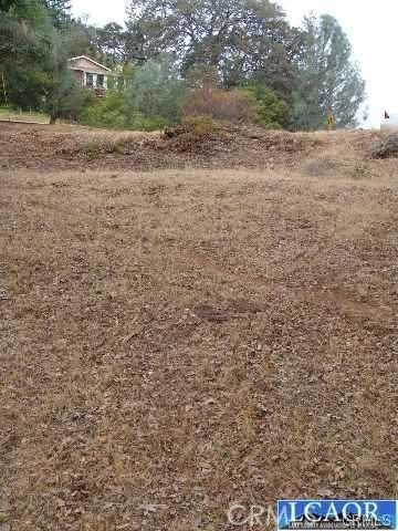 7911 Soda Bay Rd, Kelseyville, CA 95451 - photo 5